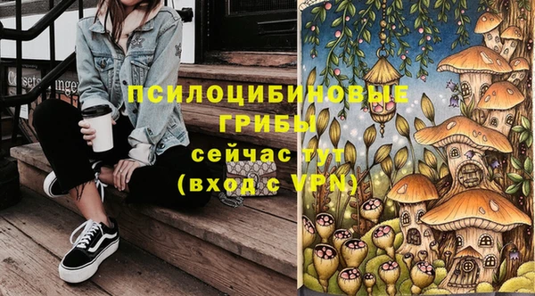 дурь Абдулино