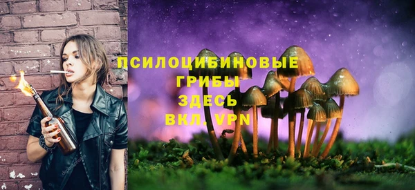 дурь Абдулино