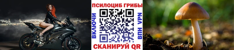 Псилоцибиновые грибы GOLDEN TEACHER  Судогда 
