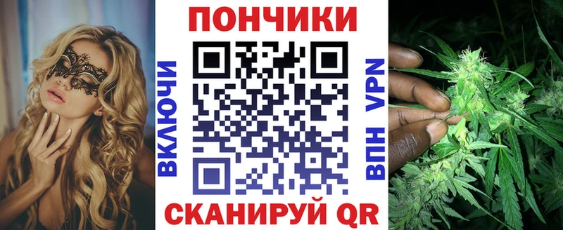 Бошки марихуана Amnesia  где продают   Судогда 